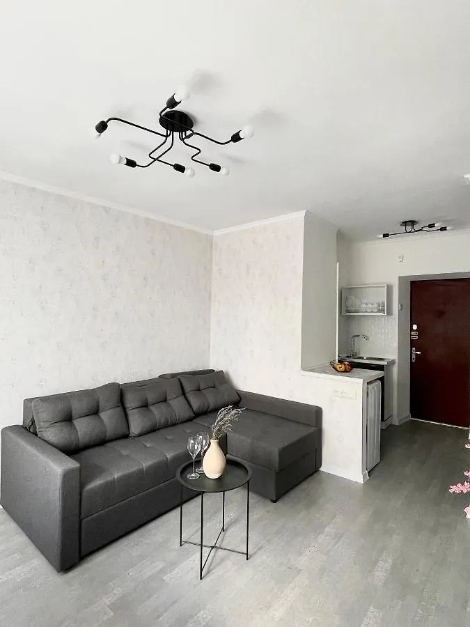 1-Комнатная Уютная Смарт Квартира-Студия Kyiv Apartment